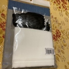 ✨抗ウイルス、抗菌マスクキット✨の画像