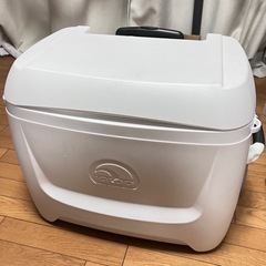 本日の引き取り希望  igloo クーラーボックス