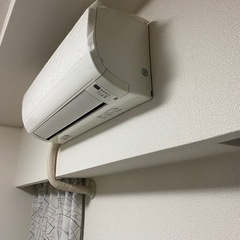 決定済みの画像