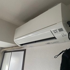 決定済みの画像