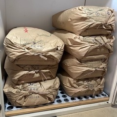 ④令和3年産　玄米　30kg　ハツシモ　揖斐郡産