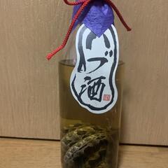 ハブ酒の画像