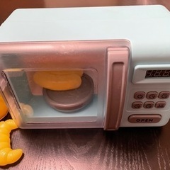 色が変わる電子レンジおもちゃ