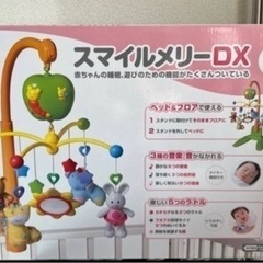 ②スマイルメリーDX (使用期間短め)