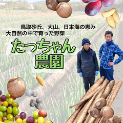 ※法人書類提出中。メッセージの対応できません。【一般事務】パソコ...