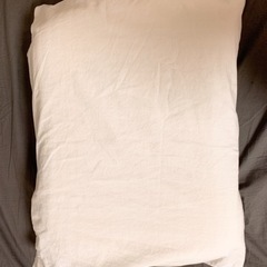 【1/31まで掲載】　IKEA 枕の画像