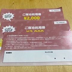 豊後大野　ご宿泊利用券　3枚セット  ②の画像