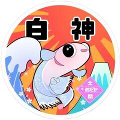 出店者募集残り2ブース
