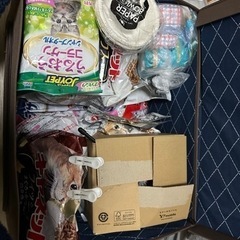 猫用1式(直ぐにネコ飼えます！)13点セットの画像