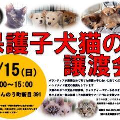 1/15💠譲渡会を開催します💠