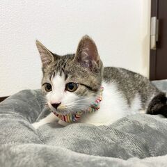 【元気いっぱい食いしん坊】イケメンです✨