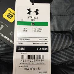 B02-01 新品 UNDER ARMOUR アンダーアーマー 中綿　ベスト WTR1103 レディース ブラック/グレー Lサイズの画像