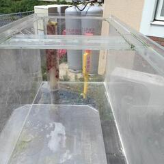 お渡し先決まりました】オーバーフロー水槽