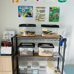新規利用者様大募集(メダカ・カブトムシの飼育と販売、軽作業) − 千葉県