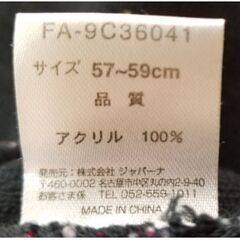 ビーニー　ニット帽　スキー　スノーボード　FABLICEの画像