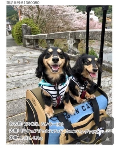 新品/定価30,580円/DOG DEPT/ペットキャリー/カート/新品未使用