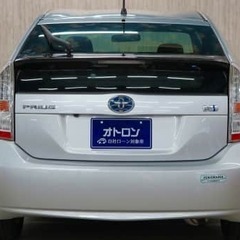 静かすぎて近くにいることが分からない。の画像