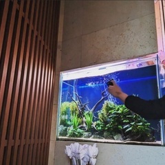 アクアリウム水槽企画営業スタッフの画像