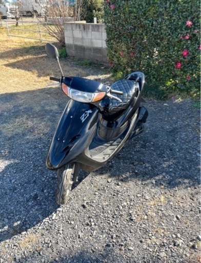 461.  動画あり　ホンダ　ライブディオZX仕様　原付　バイク　50cc   車体
