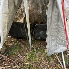 超軽量飛行機　ウルトラライト　3機　続きの画像