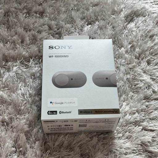 SONY ワイアレスイヤホン