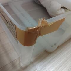 【交渉中です】押入れケース　ニトリ製の画像