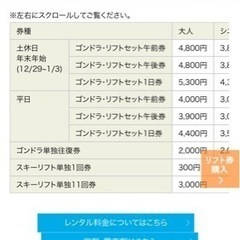 ゴンドラ　リフト券　びわこ箱館山　スキー場　全日の画像