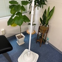 のぼりセット