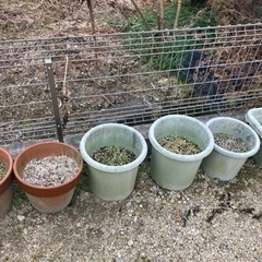 ガーデニングに植木鉢、格納庫など