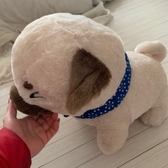 BIGぬいぐるみ　豆しば兄弟の画像
