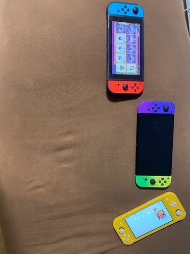 その他 Nintendo switch light