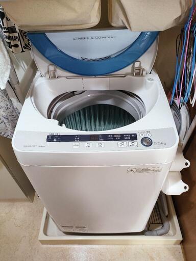 15日16時までに引き取りに来れる方