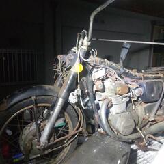 cd250