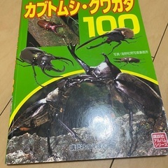 カブトムシ クワガタ 100