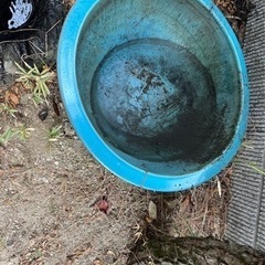 水瓶　ライトブルーの画像