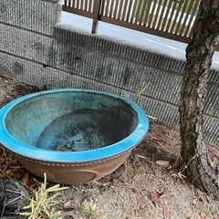 水瓶　ライトブルー