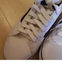 VANS 23.5 白黒の画像