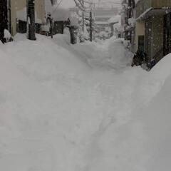 雪の降らないエリアへの移住を考えてみよう！そんな仲間募集 - その他