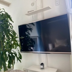 持って行けます！SHARP52型TV