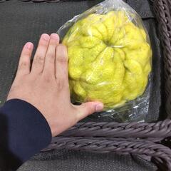 今年の目標がデケタww