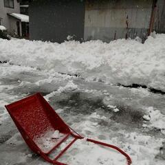 雪の降らないエリアへの移住を考えてみよう！そんな仲間募集 - メンバー募集