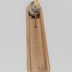 お香立て 動物　アニマル　ハムスター　インセンスホルダー　