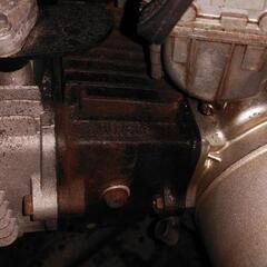 モンキーの画像