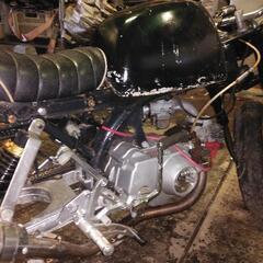 モンキーの画像