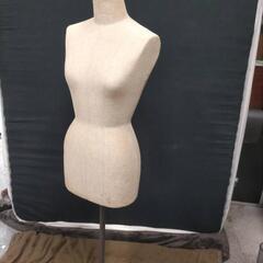 トルソー　マネキンの画像