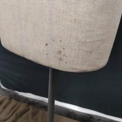 トルソー　マネキンの画像