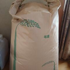 令和３年度　コシヒカリ　30Kg①