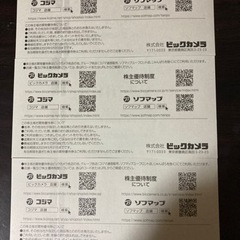 ビックカメラ優待券2/21値下げの画像