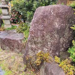 植物　金額相談の画像