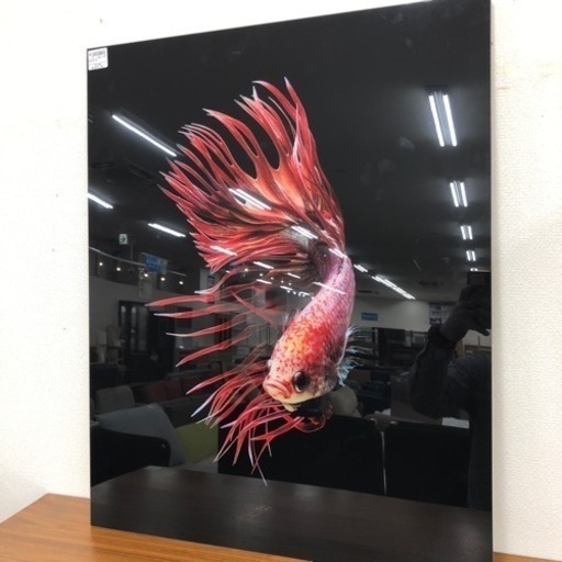 Jirawat PLEKHONGTHU フレーム